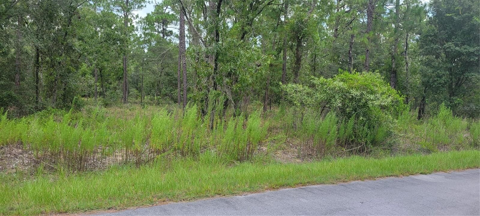 Property Photo:  0 NW Highview Avenue  FL 34431 