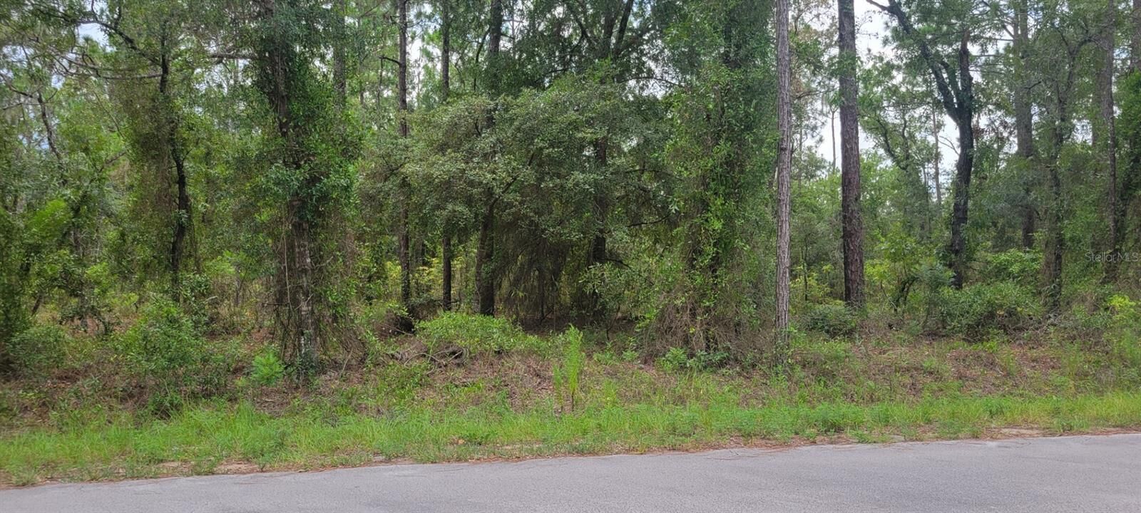 Property Photo: 0 NW Highview Avenue FL 34431