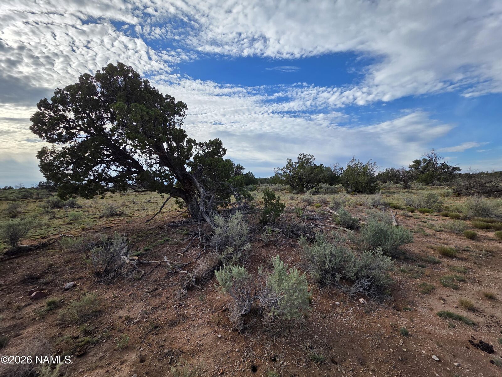 Property Photo:  2097 Watchtower Pass  AZ 86046 