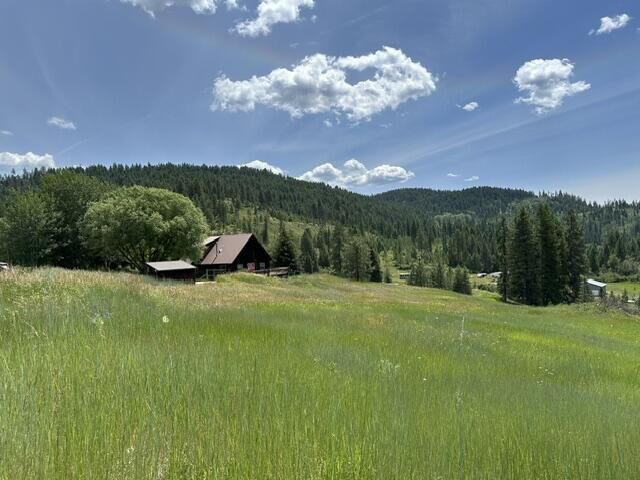 Property Photo:  1258 Pingston Creek Rd  WA 99141 