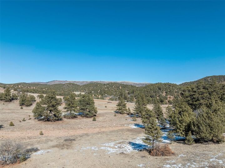 Property Photo:  221 Chris Crossover Drive  CO 81212 