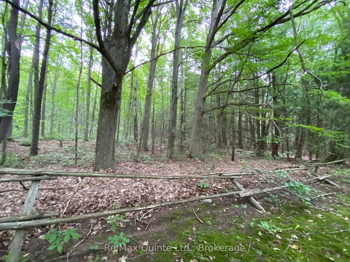 0 County Rd 30 N/A — photo 1