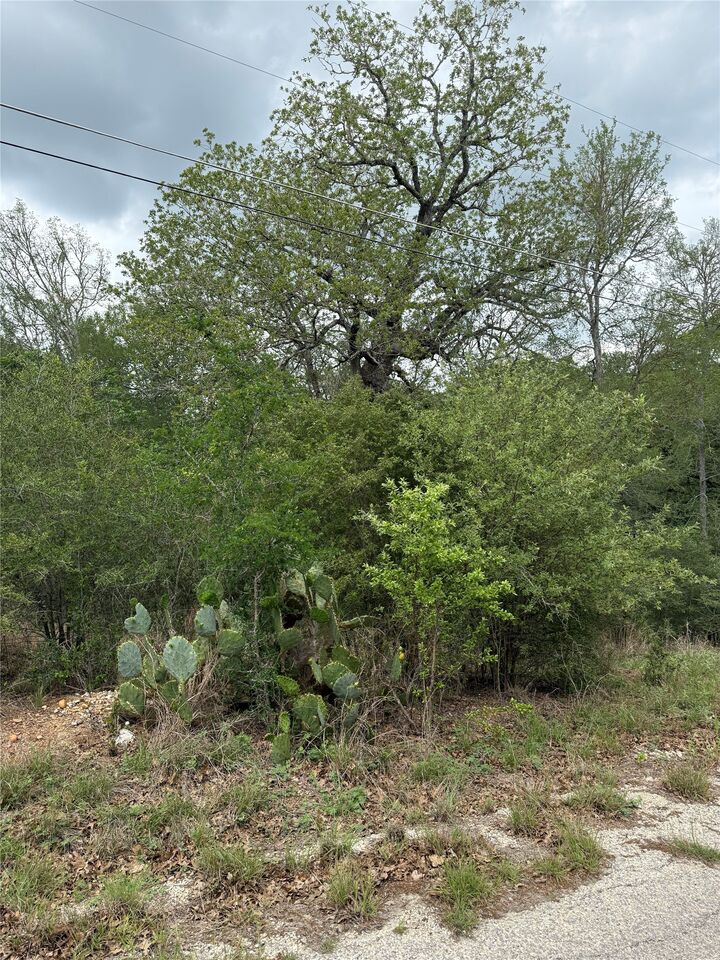 Property Photo:  Lots 69 And 70 Kaelepulu Drive  TX 78602 