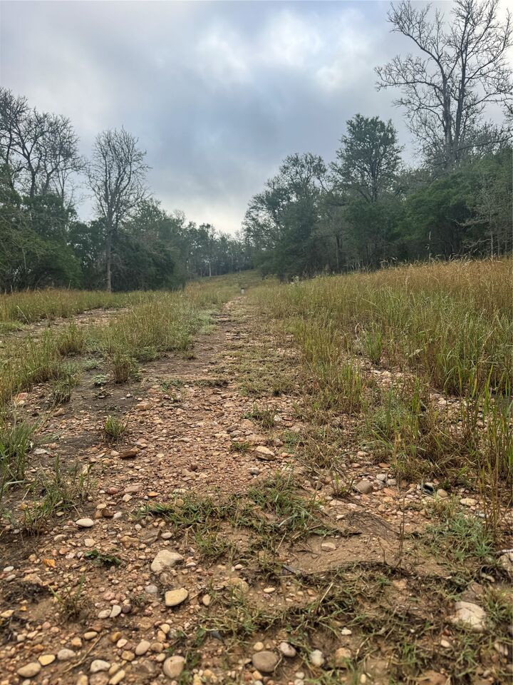 Property Photo:  107 And 109 Hauula Court  TX 78602 