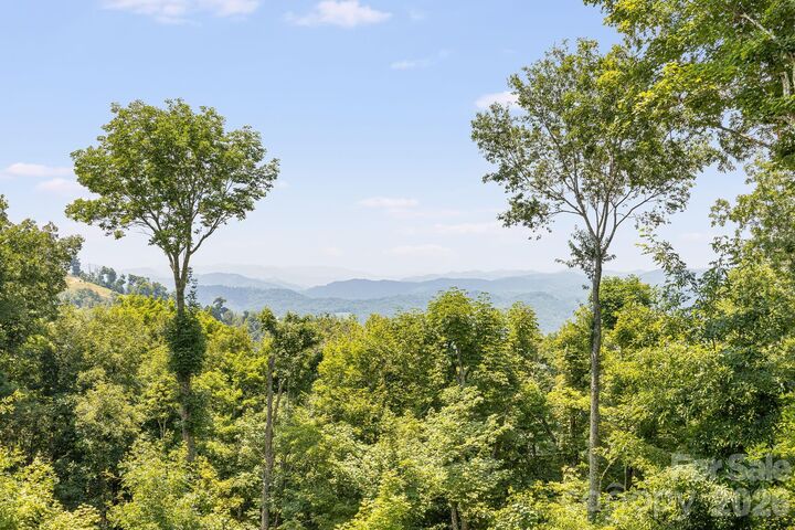 Property Photo:  129 Finney Lane  NC 28754 