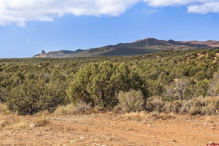 Property Photo: 2997 20.5 Road CO 81321