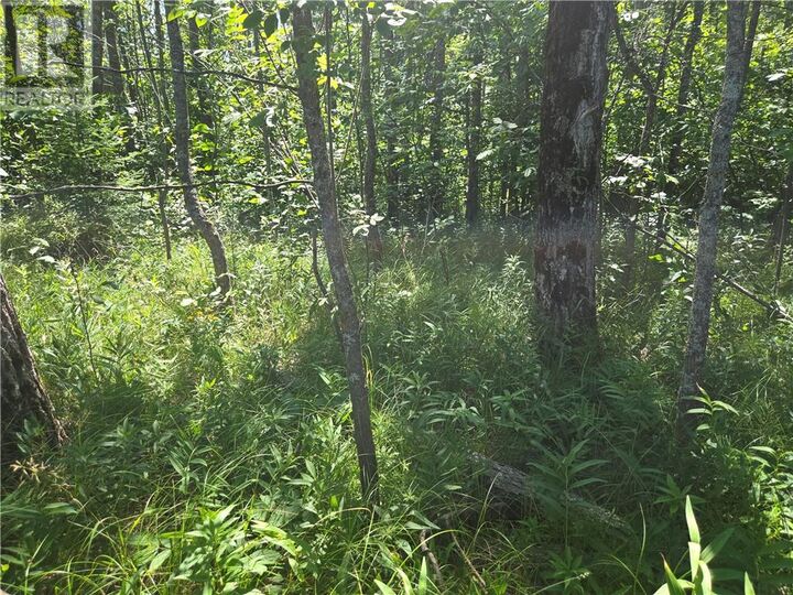 Property Photo:  N/A 4th Line  ON P0P 1H0 