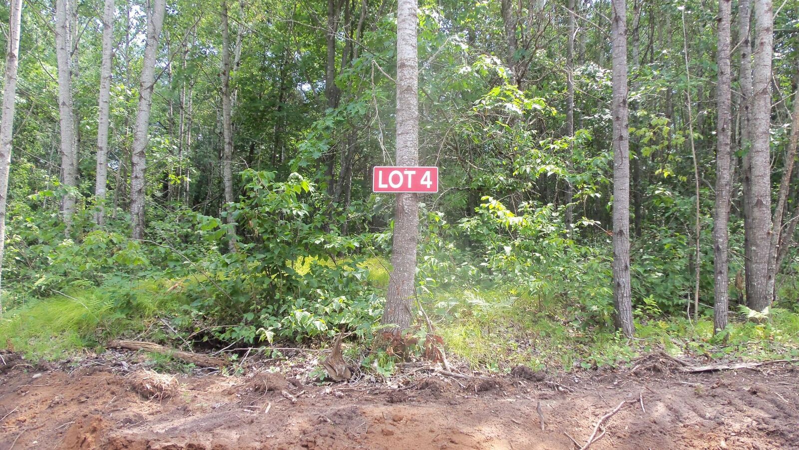 Property Photo: Lot 4 Birch Tree Trl WI 54801