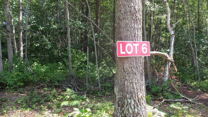 Property Photo:  Lot 6 Birch Tree Trl  WI 54801 