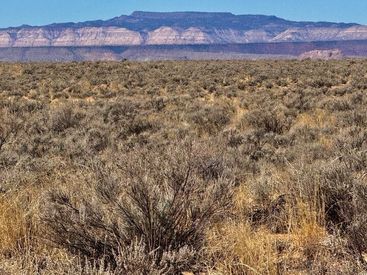 Property Photo: Lot 17 Quintana Road NM 87031