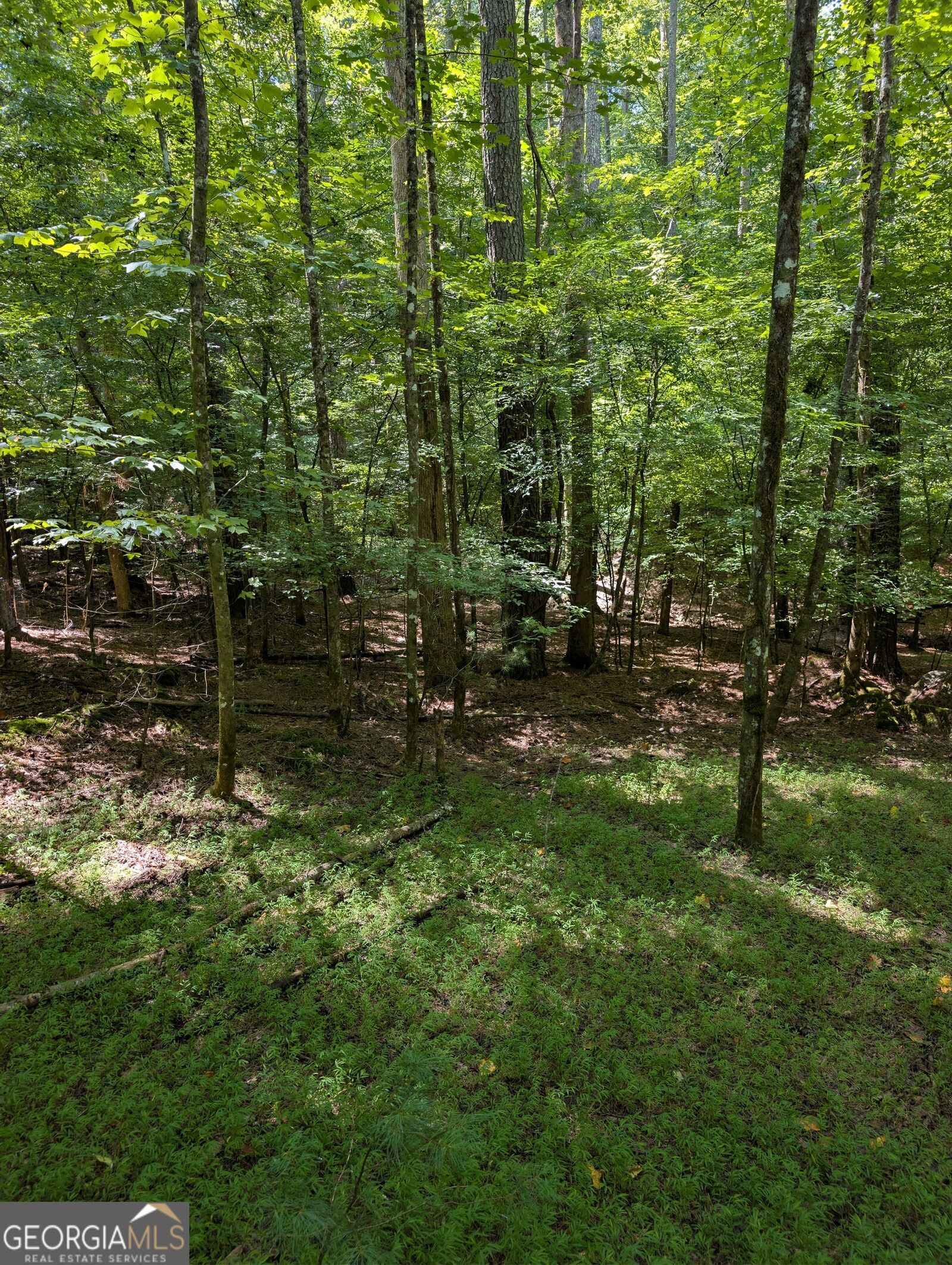 Property Photo:  Lot 3079R Monocle Drive  GA 30540 