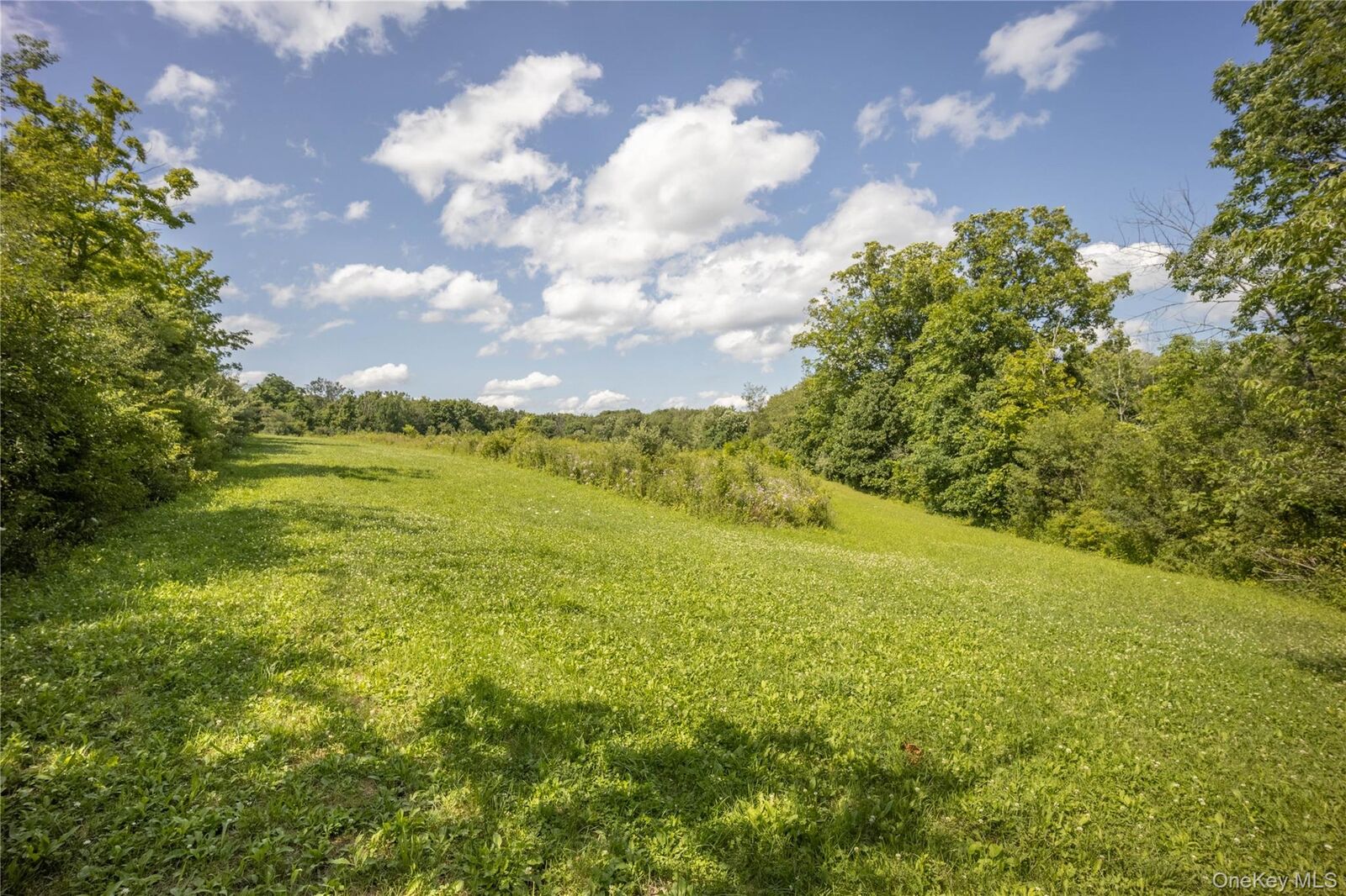 Property Photo: 147 Lauer Road NY 12603