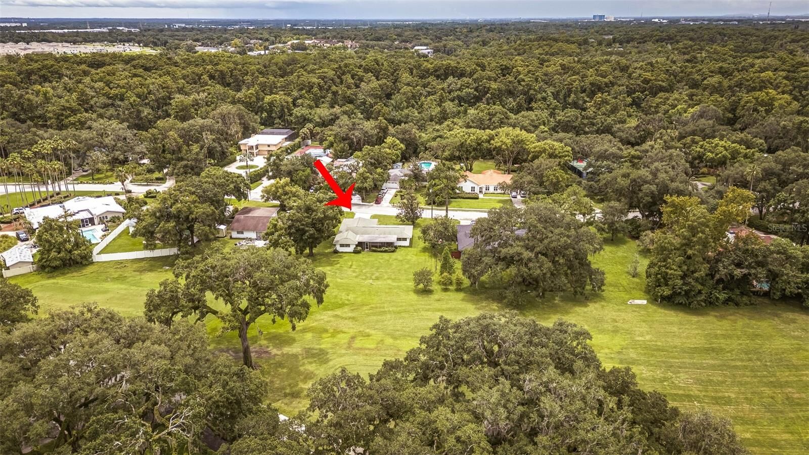 Property Photo:  936 N Riverhills Drive  FL 33617 