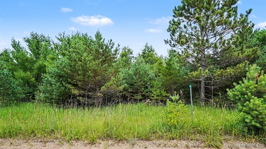 Property Photo:  000 Fletcher Road  MI 48653 