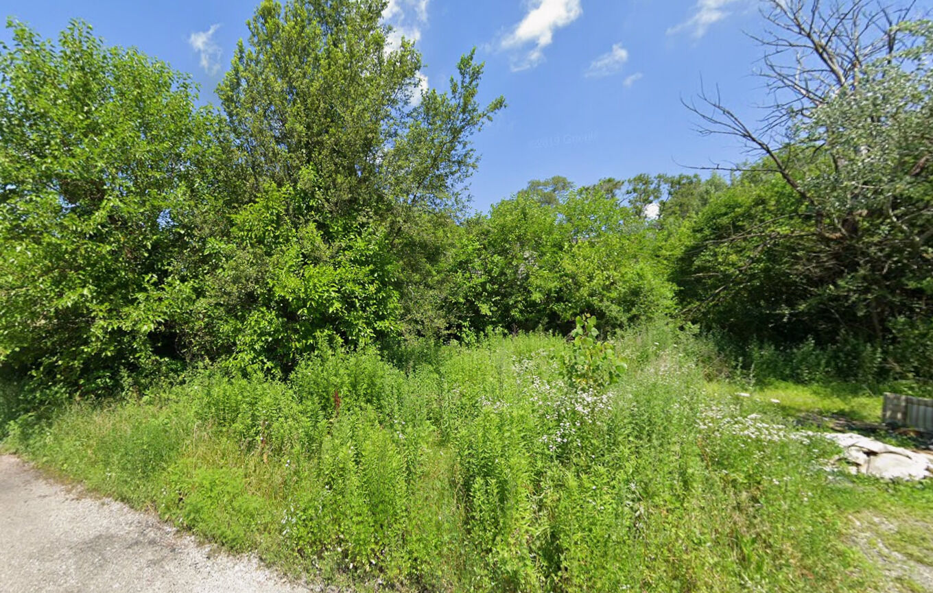 Property Photo: 704 E 134th Place IL 60827