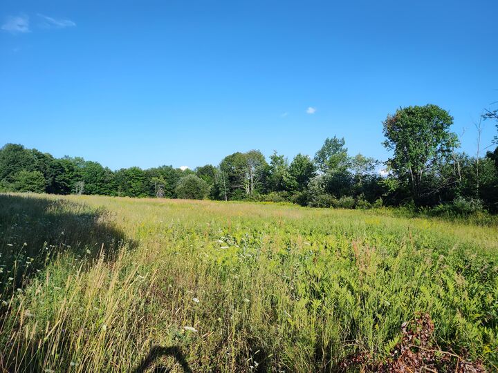 Property Photo: 23 Dexter Road ME 04971
