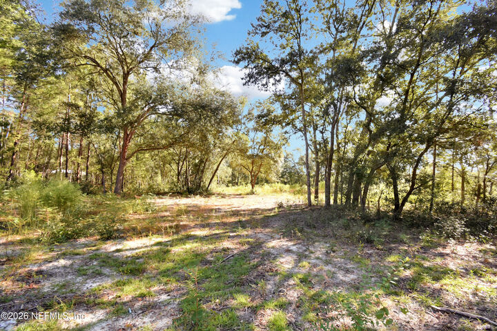 Property Photo:  7455 Rye Court  FL 32656 