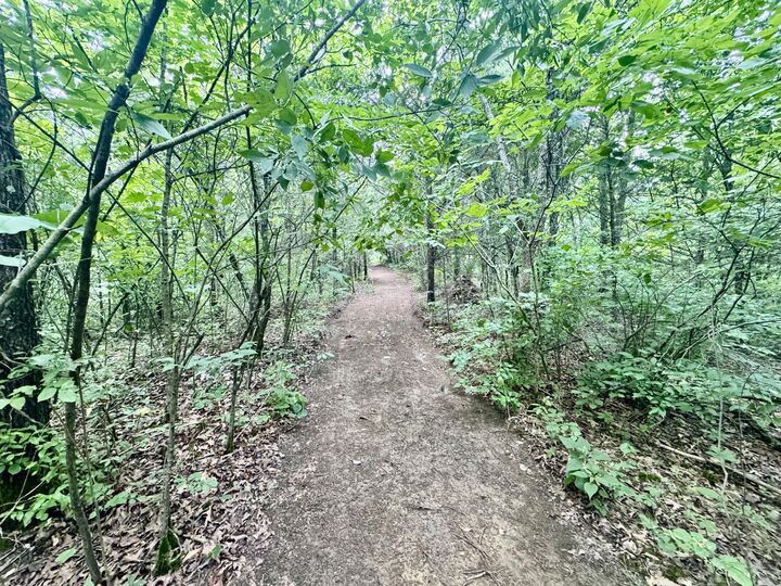 Property Photo:  7.9 Acres Lawrenceville Road  KY 41035 