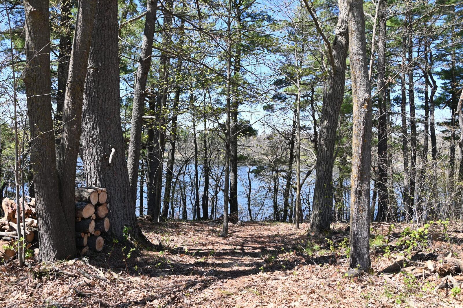Property Photo:  40039 County Rd 17  MN 56438 