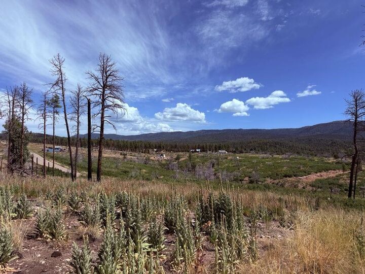 Property Photo:  Pawhuska Dr Movac Loop  NM 88350 