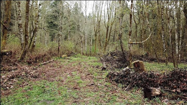 Property Photo: 19009 51st Avenue SE WA 98012