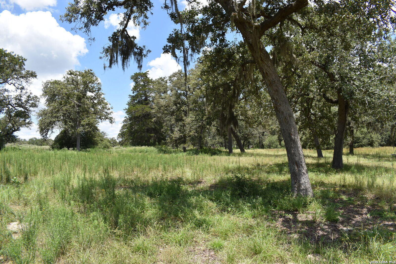 Property Photo: Tbd Cr 444 TX 77995