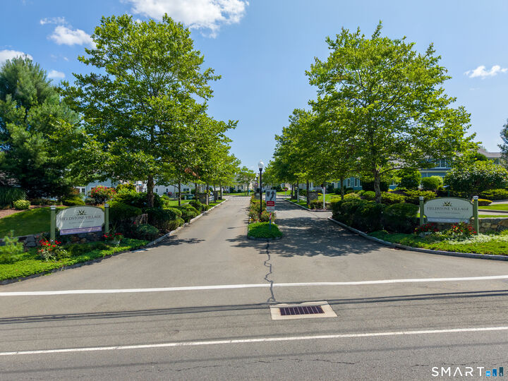 Property Photo:  101 Sunrise Hill Circle 101  CT 06477 