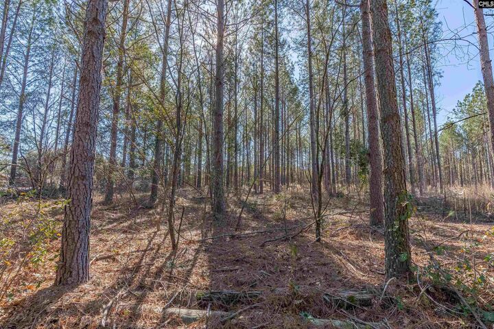 Property Photo:  Lot #6 Fairview 008200-07-010  SC 29006 