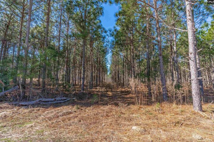 Property Photo:  Lot #5 Fairview 008200-07-010  SC 29006 
