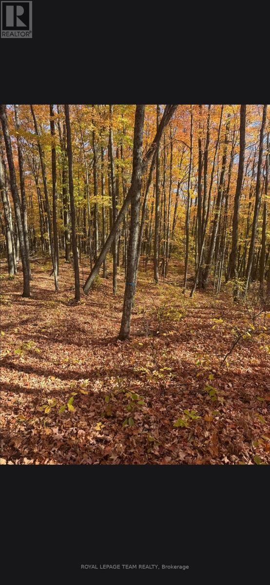 Photo de la propriété:  509 South Road Road  ON K0H 1J0 