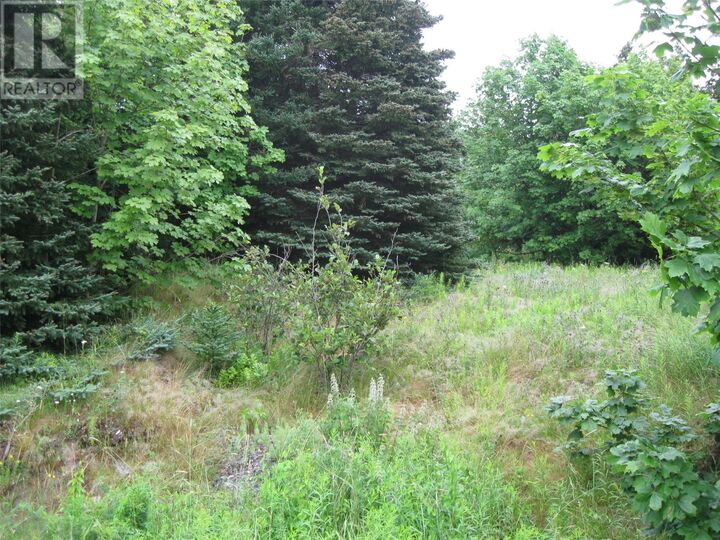 56 Robert'S Road North — photo 1