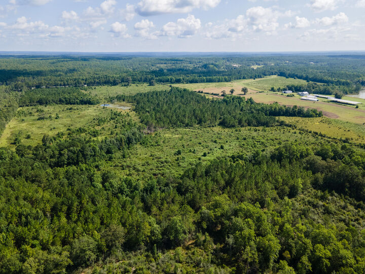 Property Photo: Lot 13 Campbell Road FL 32435