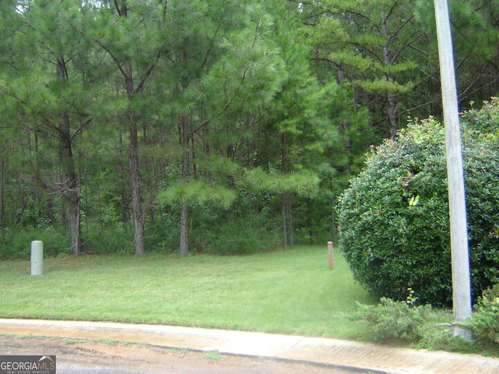 Property Photo: 0 Covington Way AL 36863