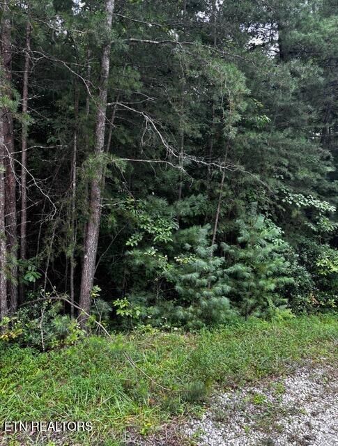 Property Photo:  15 Minetta Court  TN 38558 