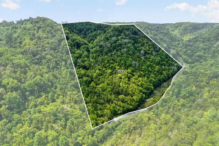 Property Photo:  0 Turkey Branch Rd  TN 37095 