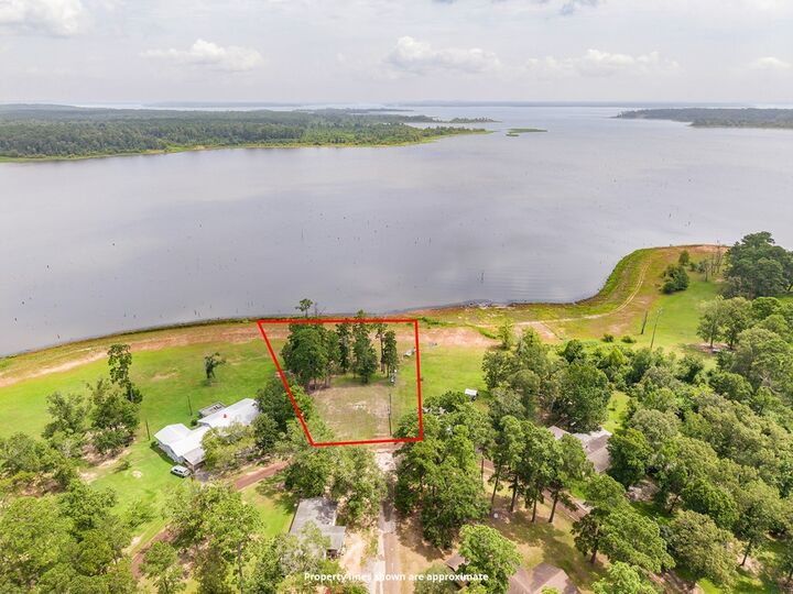 Property Photo: 295 White Oak Drive TX 75980