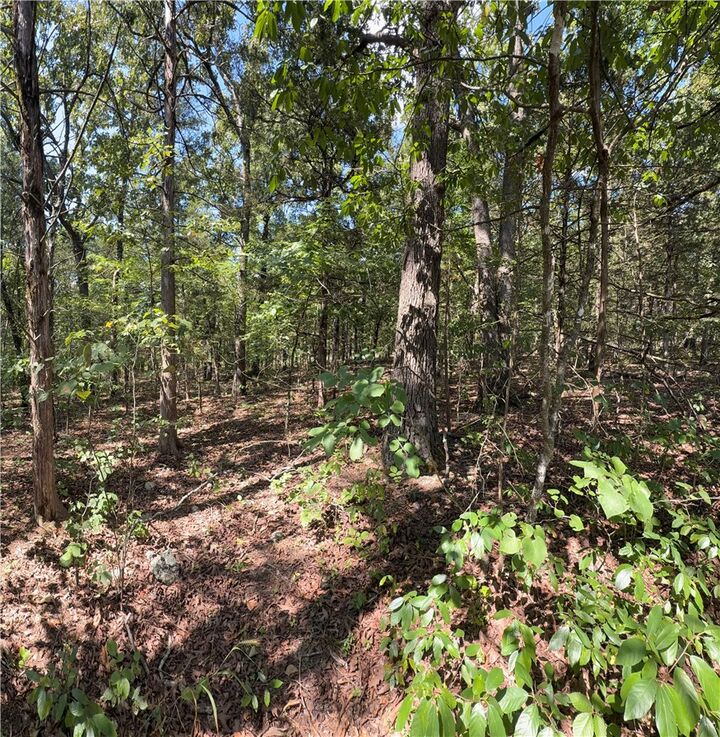 Property Photo:  Tbd Larchwood Drive  AR 72644 