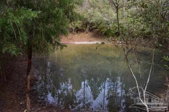 Property Photo:  0003 Pat Brown Rd  FL 32570 