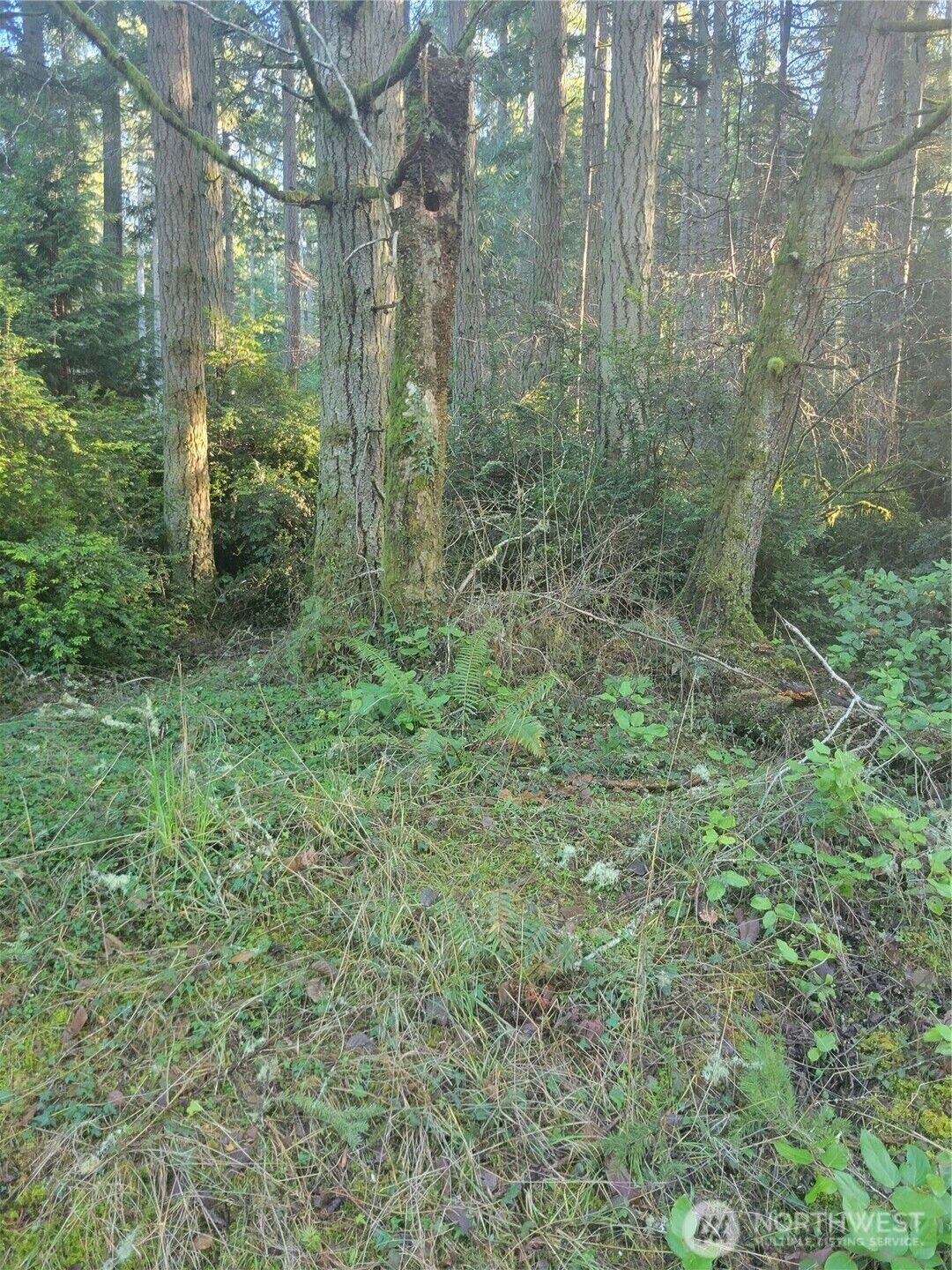 Property Photo:  11920  Country Club Drive  WA 98303 
