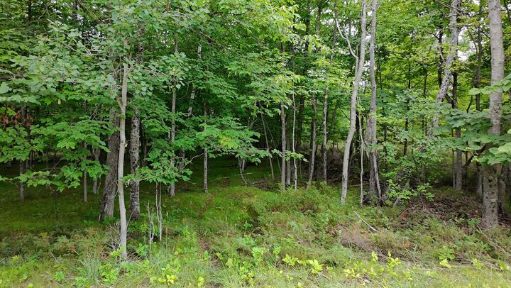Property Photo: Gibraltar Road 12 WI 54212