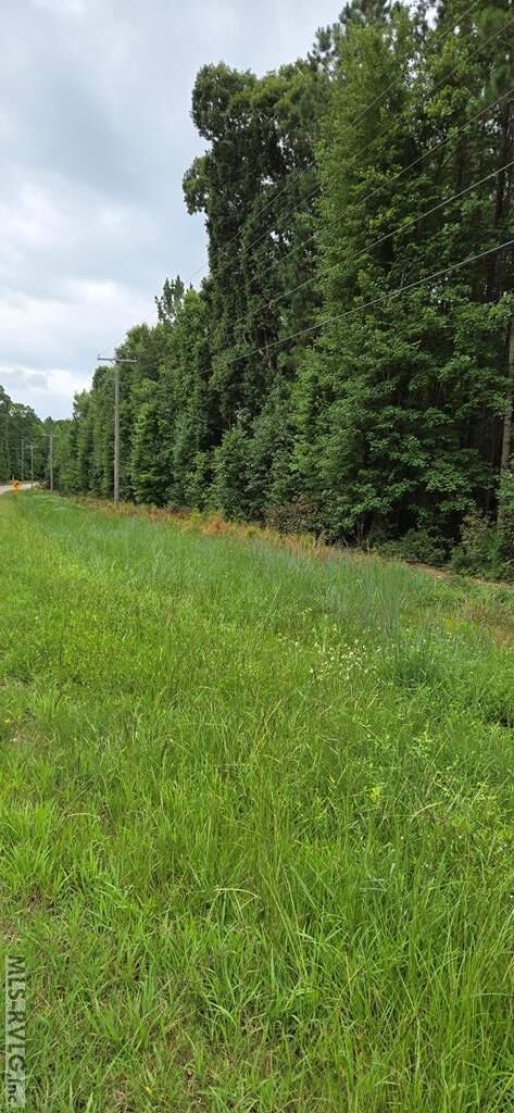 Property Photo: 0 Medoc Mountain Rd NC 27844