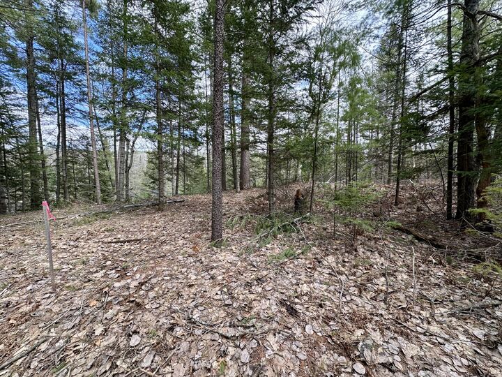 Property Photo: 5033 Big Sky Trail MI 49749