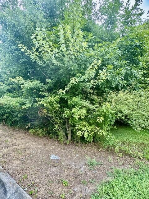 Property Photo:  0 Old Chattanooga Road  GA 30740 
