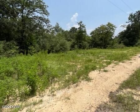 Property Photo:  0 Alton Lane  FL 32428 