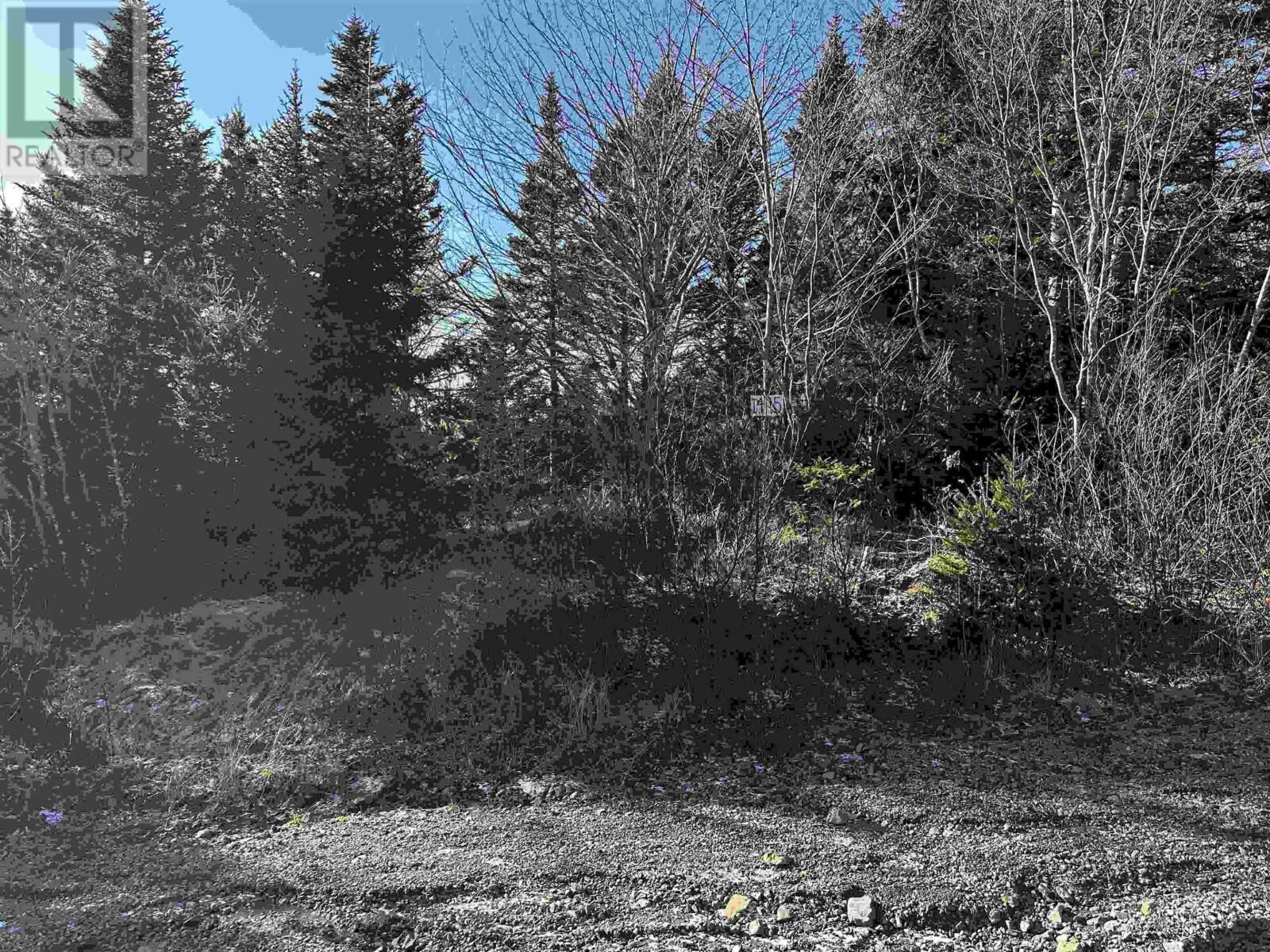 Property Photo:  Old Monastery Road  NS B0H 1G0 