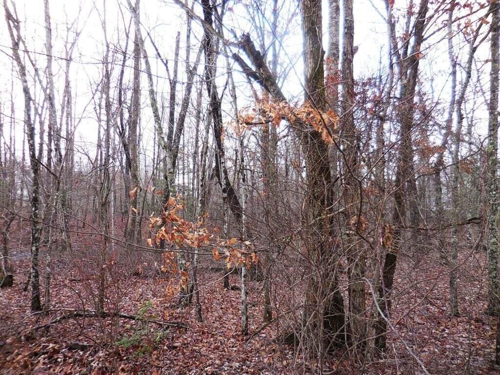 Property Photo:  1143 Natchez  TN 38572 