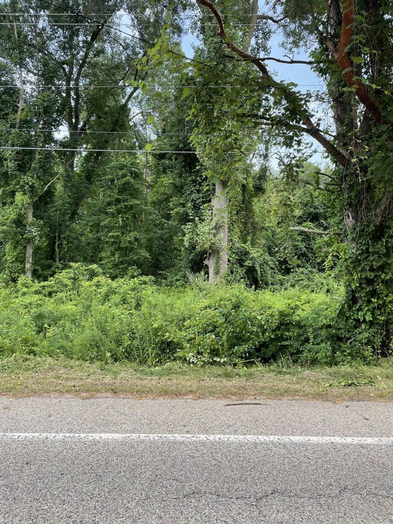 Property Photo: 146th Avenue MI 49423