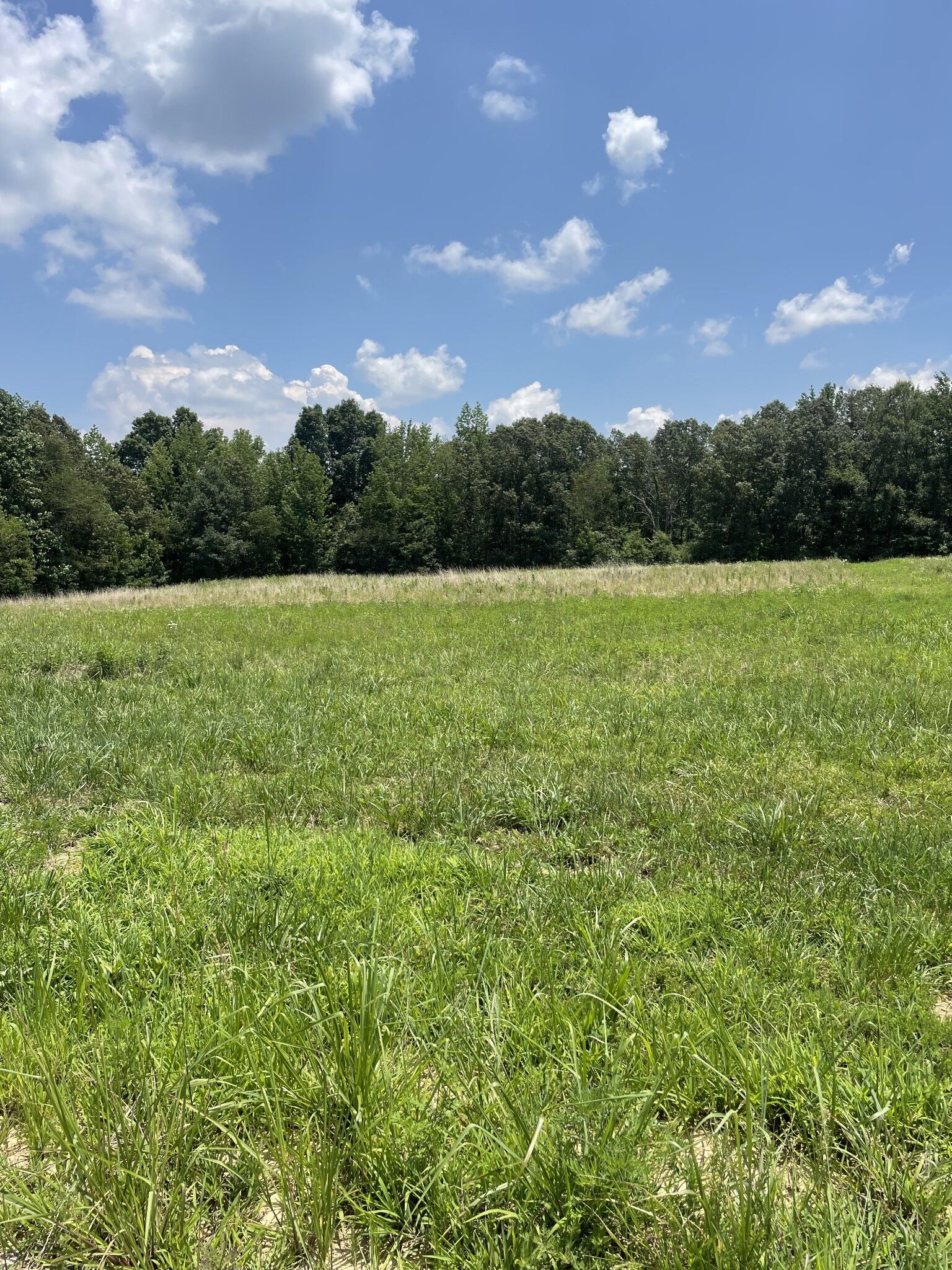Property Photo: 0 Summer Lake Ct TN 37398