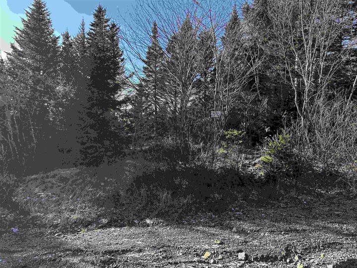Old Monastery Road — photo 1
