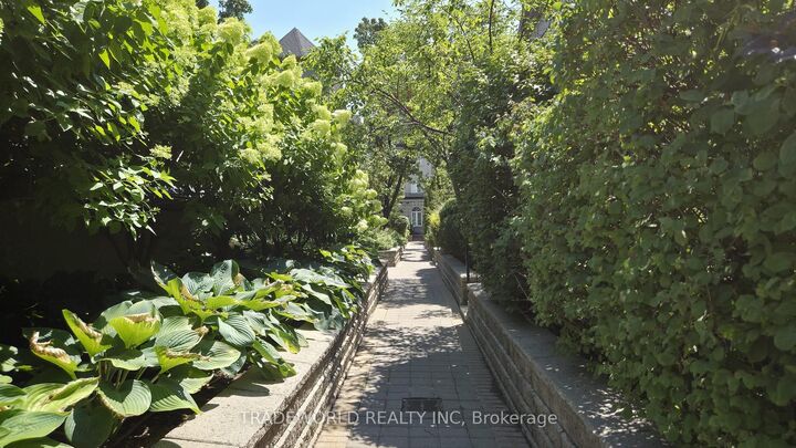 Property Photo: 37 Avondale Avenue 513 ON M2N 7C1